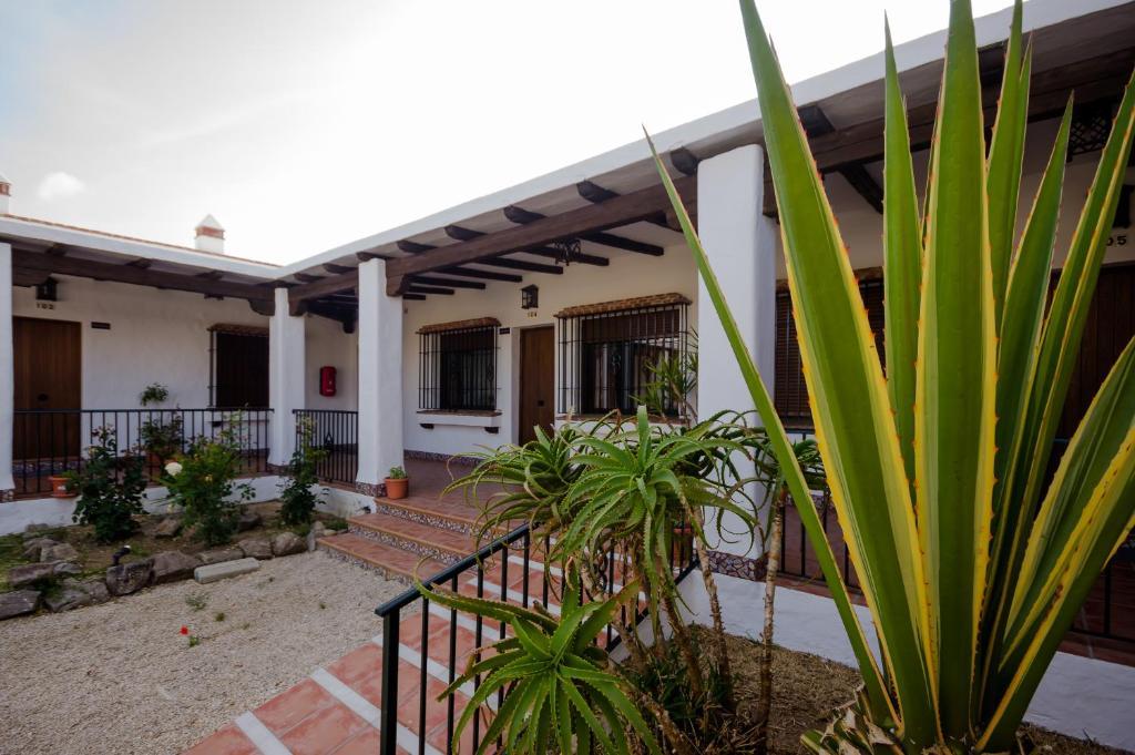 コニル・デ・ラ・フロンテラHacienda Puerto Conilアパートメント エクステリア 写真